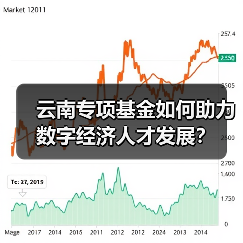 云南专项基金如何助力数字经济人才发展?(图2) 云南专项基金如何助力数字经济人才发展?(图2)