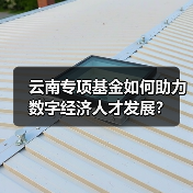 云南专项基金如何助力数字经济人才发展?(图4) 云南专项基金如何助力数字经济人才发展?(图4)