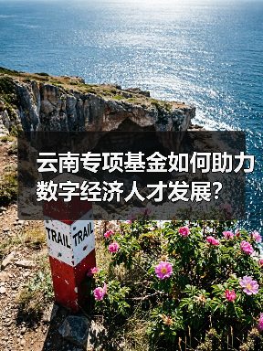 云南专项基金如何助力数字经济人才发展?(图3) 云南专项基金如何助力数字经济人才发展?(图3)