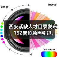 西安紧缺人才目录发布,192岗位急需引进,哪些最抢手?(图4) 西安紧缺人才目录发布,192岗位急需引进,哪些最抢手?(图4)