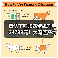 算法工程师薪资飙升至24799元!大湾区产才需求如何?(图1) 算法工程师薪资飙升至24799元!大湾区产才需求如何?(图1)