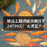 算法工程师薪资飙升至24799元!大湾区产才需求如何?(图2) 算法工程师薪资飙升至24799元!大湾区产才需求如何?(图2)