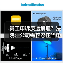 员工申诉反遭解雇？法院：公司需容忍正当申诉（图3）