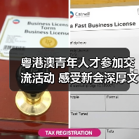 粤港澳青年人才参加交流活动 感受新会深厚文化底蕴（图2）