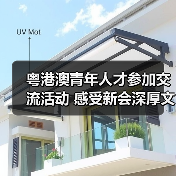 粤港澳青年人才参加交流活动 感受新会深厚文化底蕴（图1）