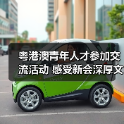 粤港澳青年人才参加交流活动 感受新会深厚文化底蕴（图4）