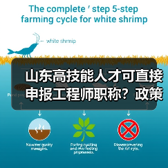山东高技能人才可直接申报工程师职称？政策解读（图2）