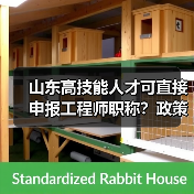 山东高技能人才可直接申报工程师职称？政策解读（图1）
