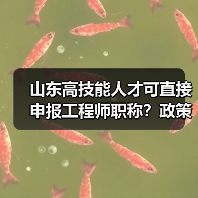 山东高技能人才可直接申报工程师职称？政策解读（图4）
