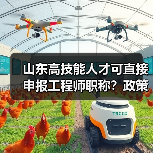 山东高技能人才可直接申报工程师职称？政策解读（图3）