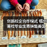 创新校企合作模式 福州高校毕业生青睐集美区招聘活动(图4) 创新校企合作模式 福州高校毕业生青睐集美区招聘活动(图4)
