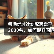 香港优才计划配额增至2000名，如何提升国际竞争力？（图4）