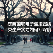 东莞国联电子连接器线束生产实力如何？深度解析（图2）