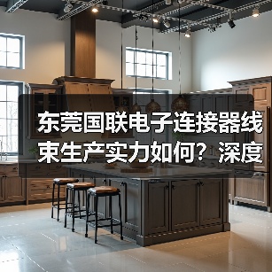 东莞国联电子连接器线束生产实力如何？深度解析（图1）
