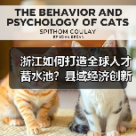 浙江如何打造全球人才蓄水池?县域经济创新路径解析(图3) 浙江如何打造全球人才蓄水池?县域经济创新路径解析(图3)