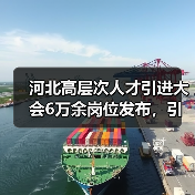 河北高层次人才引进大会6万余岗位发布，引才亮点全解析！（图3）