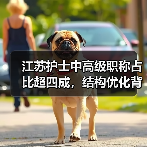 江苏护士中高级职称占比超四成,结构优化背后的驱动力是什么?(图3) 江苏护士中高级职称占比超四成,结构优化背后的驱动力是什么?(图3)