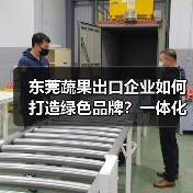 东莞蔬果出口企业如何打造绿色品牌？一体化运营保障品质（图3）