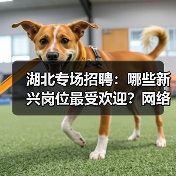 湖北专场招聘:哪些新兴岗位最受欢迎?网络营销师需求大(图1) 湖北专场招聘:哪些新兴岗位最受欢迎?网络营销师需求大(图1)