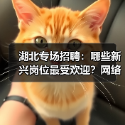 湖北专场招聘:哪些新兴岗位最受欢迎?网络营销师需求大(图3) 湖北专场招聘:哪些新兴岗位最受欢迎?网络营销师需求大(图3)