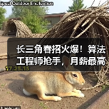 长三角春招火爆!算法工程师抢手,月薪最高可达4万元(图2) 长三角春招火爆!算法工程师抢手,月薪最高可达4万元(图2)