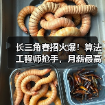 长三角春招火爆!算法工程师抢手,月薪最高可达4万元(图4) 长三角春招火爆!算法工程师抢手,月薪最高可达4万元(图4)