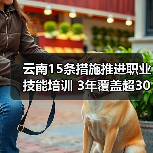 云南15条措施推进职业技能培训 3年覆盖超300万人(图1) 云南15条措施推进职业技能培训 3年覆盖超300万人(图1)