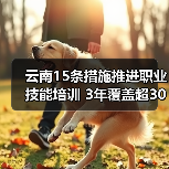 云南15条措施推进职业技能培训 3年覆盖超300万人(图4) 云南15条措施推进职业技能培训 3年覆盖超300万人(图4)