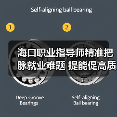 海口职业指导师精准把脉就业难题 提能促高质量就业(图1) 海口职业指导师精准把脉就业难题 提能促高质量就业(图1)