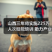 山西三年将实施225万人次技能培训 助力产业升级与就业增收(图3) 山西三年将实施225万人次技能培训 助力产业升级与就业增收(图3)
