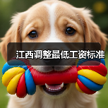 江西调整最低工资标准（图3）