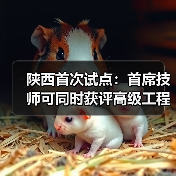 陕西首次试点：首席技师可同时获评高级工程师职称（图4）