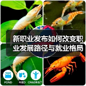 新职业发布如何改变职业发展路径与就业格局?(图4) 新职业发布如何改变职业发展路径与就业格局?(图4)