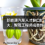 新能源汽车人才缺口扩大,智驾工程师成香饽饽(图1) 新能源汽车人才缺口扩大,智驾工程师成香饽饽(图1)