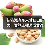 新能源汽车人才缺口扩大,智驾工程师成香饽饽(图2) 新能源汽车人才缺口扩大,智驾工程师成香饽饽(图2)