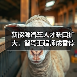 新能源汽车人才缺口扩大,智驾工程师成香饽饽(图3) 新能源汽车人才缺口扩大,智驾工程师成香饽饽(图3)
