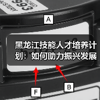 黑龙江技能人才培养计划：如何助力振兴发展？（图4）