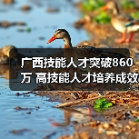 广西技能人才突破860万 高技能人才培养成效显著（图1）