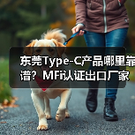 东莞Type-C产品哪里靠谱？MFi认证出口厂家推荐（图2）