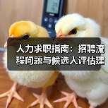 人力求职指南：招聘流程问题与候选人评估建议2026（图1）