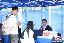 上海杨浦举办两岸暨港澳侨大学生专场招聘会，提供近400岗位(图1)