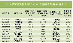 宁波上市公司高管薪酬“霸榜”：光伏、电力设备、汽车领跑(图4)