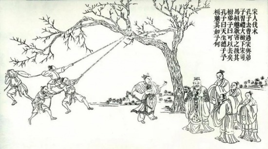 林黛玉的抱怨与宝钗的回应,红楼梦中人际关系的微妙解读(图11) 林黛玉的抱怨与宝钗的回应,红楼梦中人际关系的微妙解读(图11)