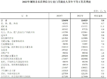 2023年城镇单位平均工资数据发布,行业增长与差距变化解析(图1) 2023年城镇单位平均工资数据发布,行业增长与差距变化解析(图1)