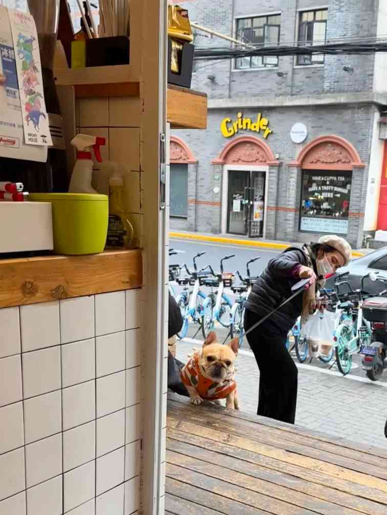 去上海工作，如何防止“精致穷”？